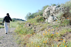 DSC_0003.JPG