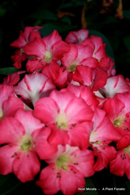 IMG_1463 IMG_1463