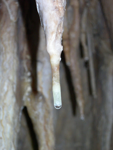 Estalactita viva.