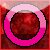 Orkut