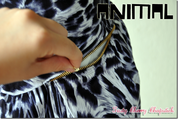 animal 3