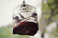 hong-kong-bird-market-01.png