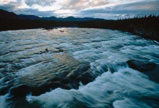 free earth day photo