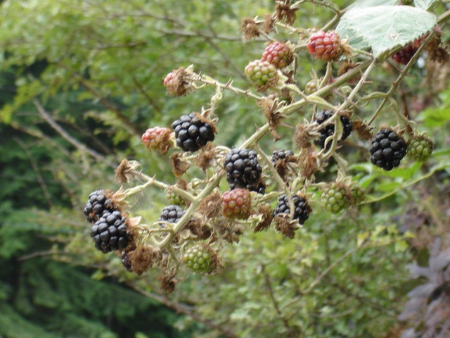 [DSC043552.jpg]