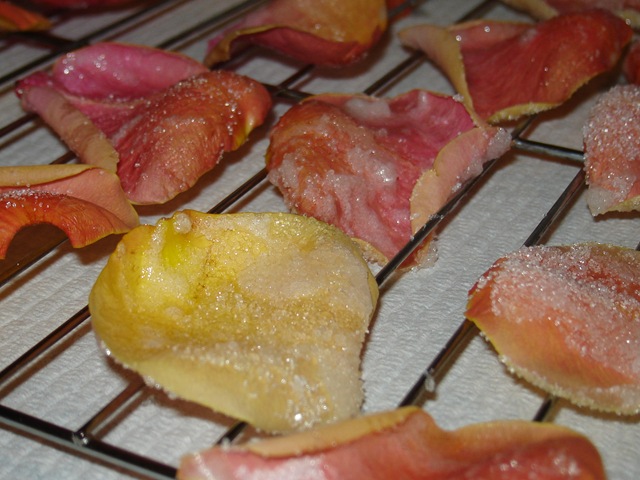 [DSC060623.jpg]
