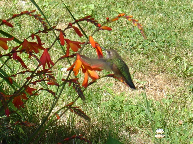 [DSC062423.jpg]