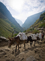 Nepal_18_1878.jpg
