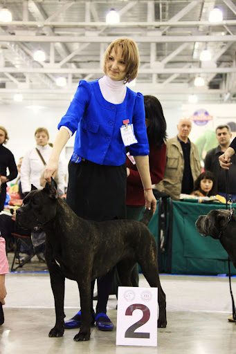 Евразия 2010. Сокровище Нации Арабеска