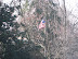 Phelps Grove Neighborhood thumb