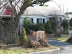 Phelps Grove Neighborhood thumb