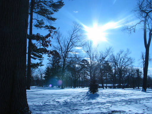 Phelps Grove Neighborhood