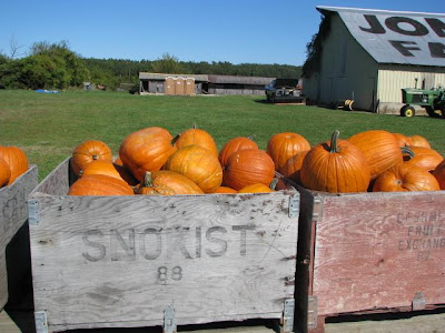 The Jones Farm
