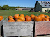 The Jones Farm thumb