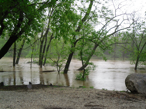 flood