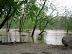 flood thumb