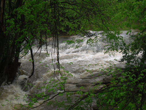 flood