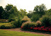 Close Memorial Park thumb