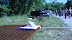 Watershed Center Groundbreaking thumb