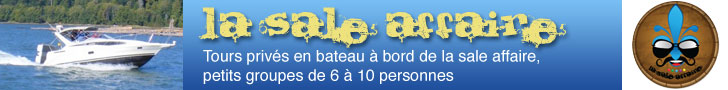 Tours privés en bateau à bord de la sale affaire
