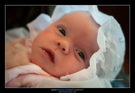 DSC_1942-1-1