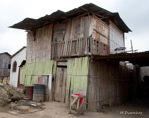 MDP_DSC_3062