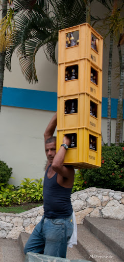 MDP_SONY_DSC_4951