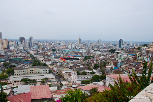 MDP_SONY_DSC_4997