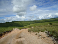 DSC02386.JPG