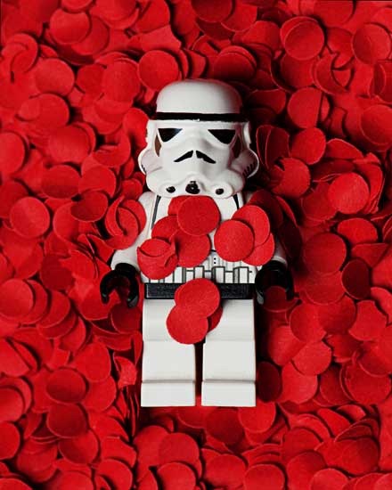 [american beauty friki[2].jpg]