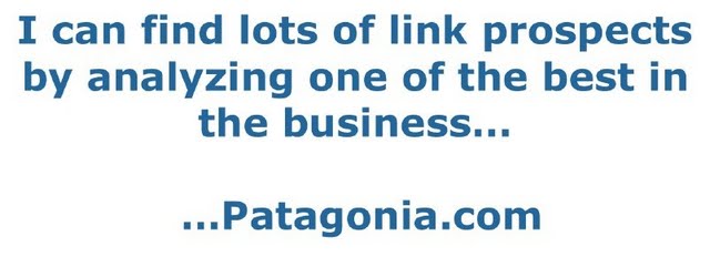 Analyzing Patagonia.com