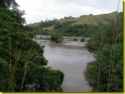 IMGP1736