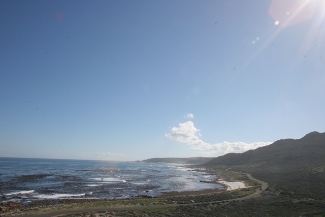 [IMG_22352.jpg]
