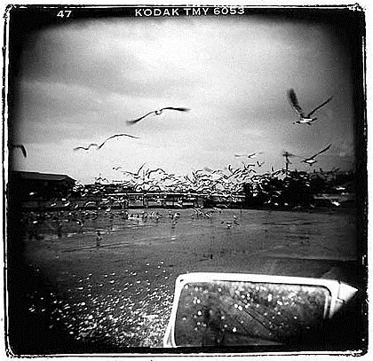 [holga_dreams[3].jpg]