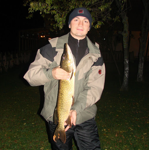 Stiuca de 2,5 kg