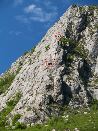 in Traseul Andrei Chifa