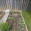 BlaineHorrocks's Raised Bed 1 garden