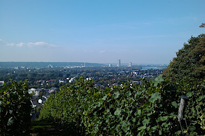 IMAG0090.jpg