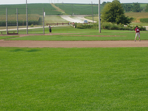 Field Of Dreams For Sale At The Farm Where The Film Was Shot