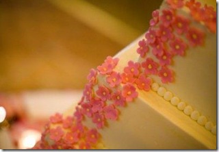 636.cake2.jpg.resize