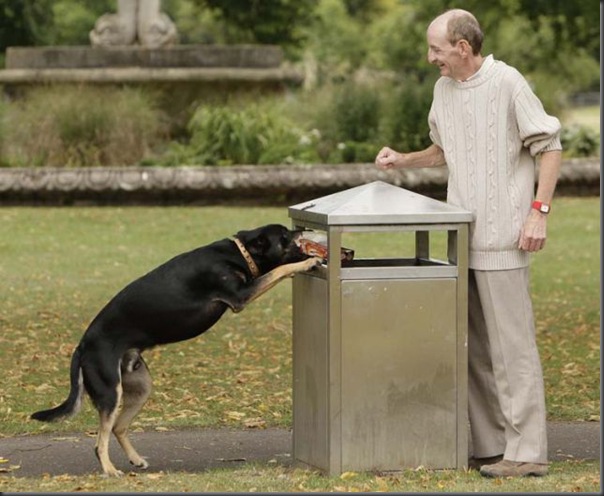 William Keating with his dog Lucky .  28 JUL 2010 See SWNS Story SWDOG An eco-friendly dog is amazing walkers after his owner trained him to pick up litter and drop it into the nearest bin. Lucky, a three-year-old Kelpie-Doberman cross, has been taught to identify different types of rubbish by owner William Keating, 55. He collects cans, crisp packets and plastic bottles from parks near his home in Gloucester before jumping up onto his hind legs to place them into bins. However, if Lucky, who responds to sign language style commands, finds a glass bottle he barks twice so that William can check for broken shards.