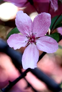IMG_5191 IMG_5191