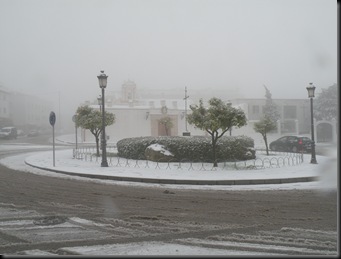 DSCN5508