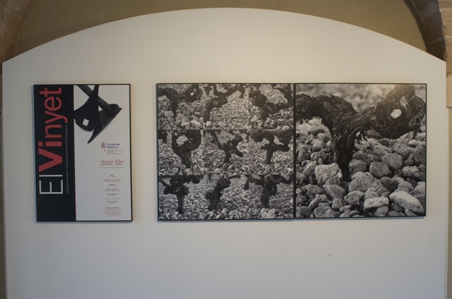 [DSC_8062[7].jpg]