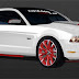 Nine tuning Mustangs for SEMA