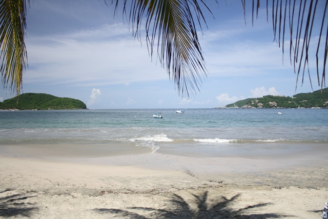 [IMG_34782.jpg]
