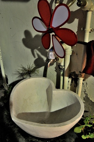 DSC_1586 DSC_1586