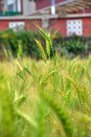 DSC_2405 DSC_2405