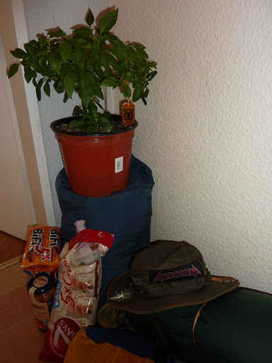 P1030424.JPG