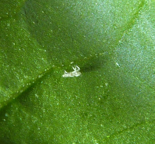 P1030777.JPG