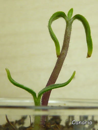 P1050359.JPG
